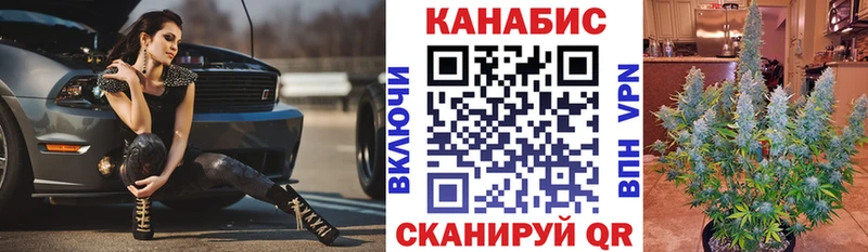 ссылка на мегу зеркало  Сычёвка  Бошки марихуана ГИДРОПОН 